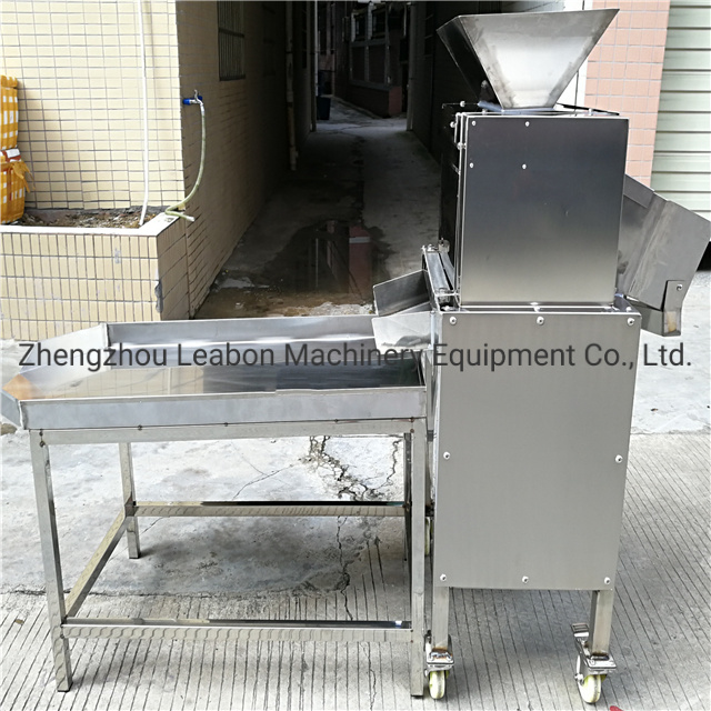High Quality Stainless Steel Passion Fruit Juice Machine to India
