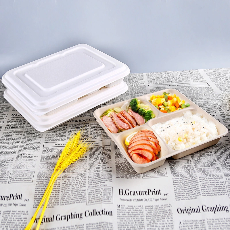 Bio Bento Lunch Box Bamboo Paper Takeaway Disposable Food Container