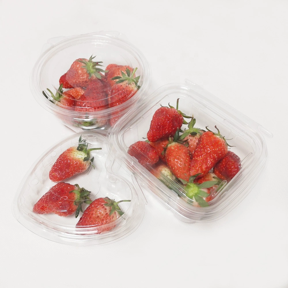 Pet Plastic Disposable Biodegradable Takeaway Food Storage Containers