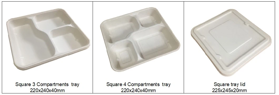 Biodegradable Lunch Tray Plate Made From Wheat Straw or Bagasse Pulp with 4 Compartments