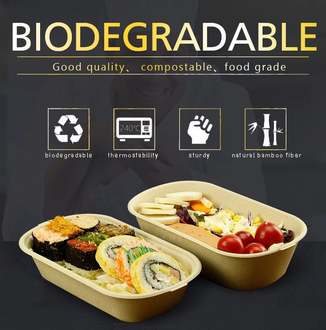 Eco-Friendly Disposable Compostable Packaging Paper Clamshell Box/Sugarcane Bagasse Lunch Box with 2, 3 Compartments