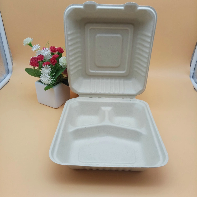 3 Compartment Sugarcane Bagasse Fiber Clamshell Food Container Take Away Food Box