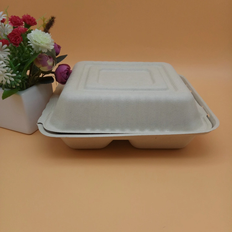 3 Compartment Sugarcane Bagasse Fiber Clamshell Food Container Take Away Food Box