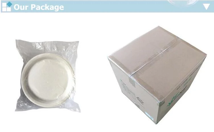 100% Sugarcane Pulp Bagasse Restaurant Fast Food Container Take Away Box 3 Compartment Food Container