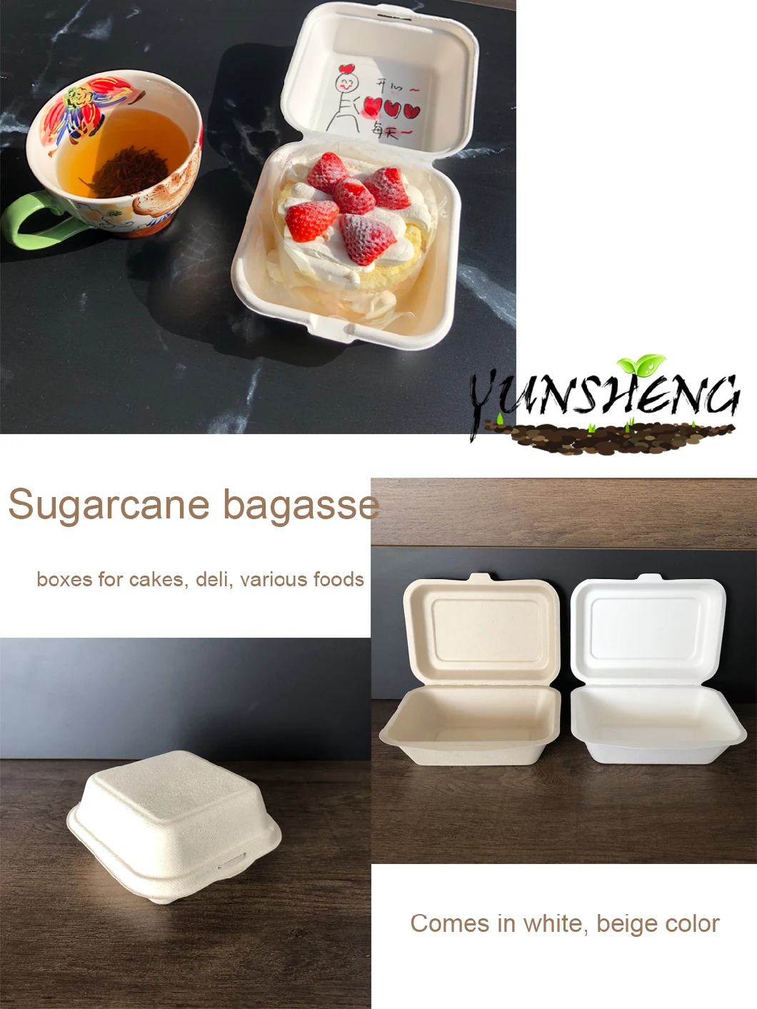 Eco-Friendly Disposable Compostable Packaging Paper Clamshell Box/Sugarcane Bagasse Lunch Box with 2, 3 Compartments