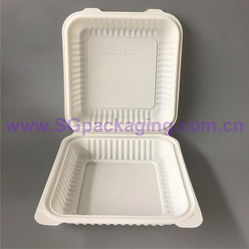 Eco-Friendly Custom 2 Compartment Bagasse Disposable Bento Lunch Box Clamshell