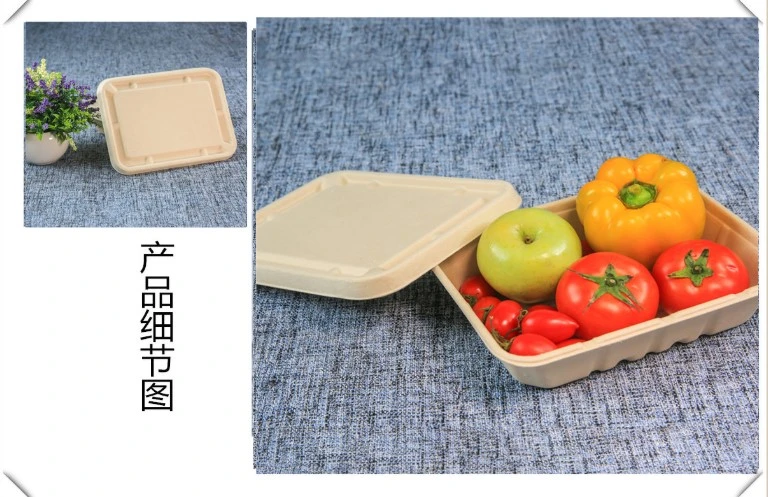 Deep Square Salad Box Biodegradable Sugarcane Tableware/Unbleached Bamboo Lunch Box