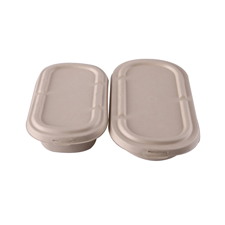 Biodegradable Disposable Wheat Straw Pulp Lunch Packaging Food Container