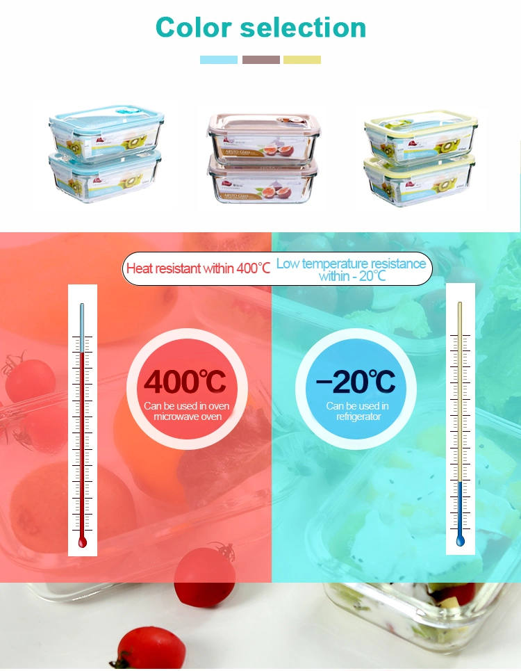Glass Vacuum Preserving Box Food Container for Food Storage Lunch Box