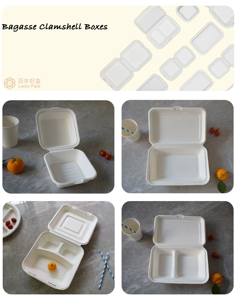 Degradable Eco Friendly Compostable Sugarcane Bagasse Clamshell Box Lunch Box