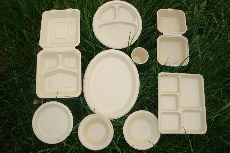 Biodegradable Food Container 5 Compartment Sugarcane Take Away Tray