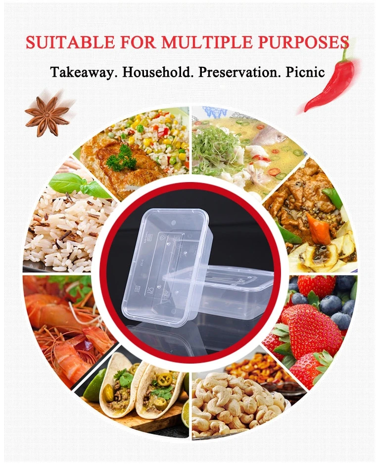 PP Plastic Salad Box Food Container Plastic Bento Lunch Box Take Away Disposable Meal Box