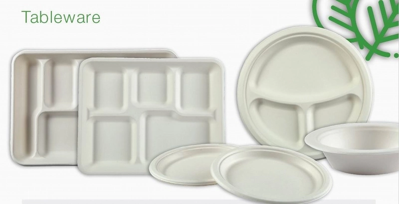 Compostable Food Container Disposable Sugarcane 9