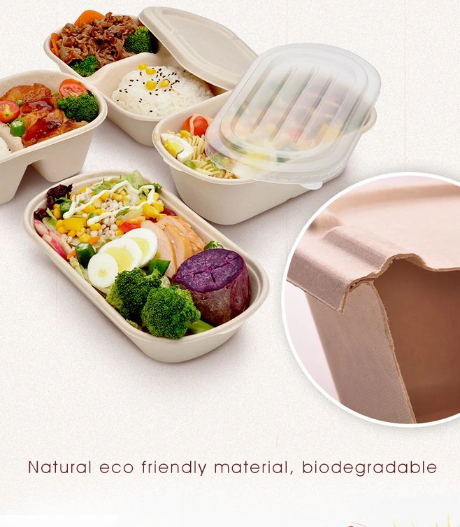 Eco-Friendly Disposable Compostable Packaging Paper Clamshell Box/Sugarcane Bagasse Lunch Box with 2, 3 Compartments