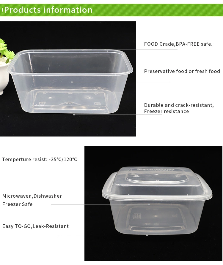Food Grade Leakproof 3 Compartment Bento Lunch Box Food Container