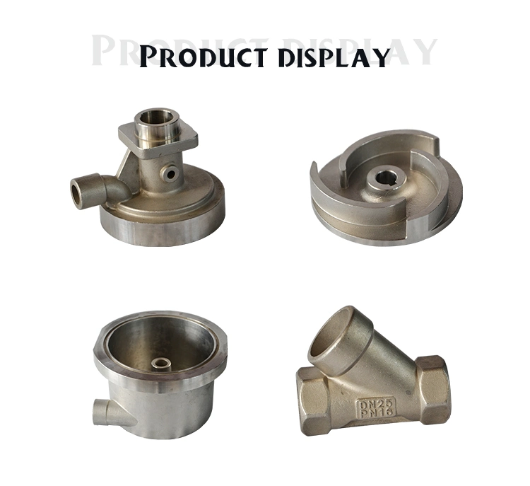 OEM Investment Casting Stainless Steel Body Pump Sets