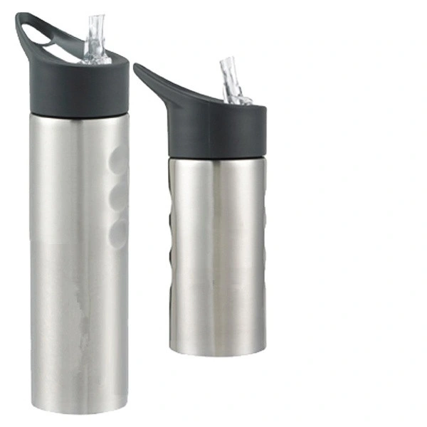 Ds506 450ml/15oz Custom Water Double Wall Stainless Steel Vacuum Water Bottle Flfs180