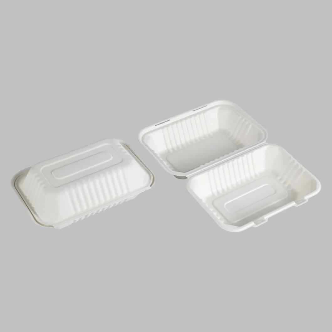 Paper Bento Box with Lid Sugar Cane Bagasse Food Container Biodegradable Takeaway Lunch Box