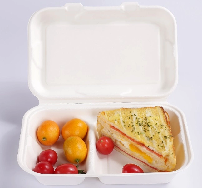 Microwave Safe Biodegradable Takeaway Food Disposable Pulp Bento Lunch Box