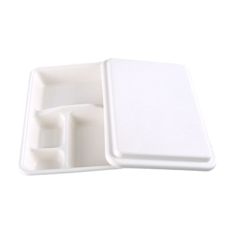 Disposable Five Compartment Sugar Cane Pulp Box Lunch Packing Box with Lid