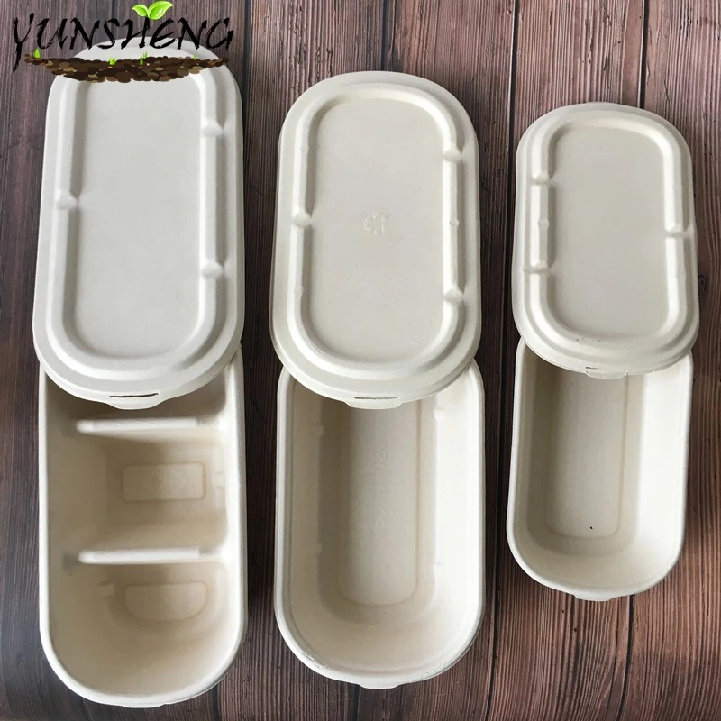 Biodegradable Disposable Wheat Straw Restaurant Box with 2-Compartment with Paper Lids or Transparent Lids