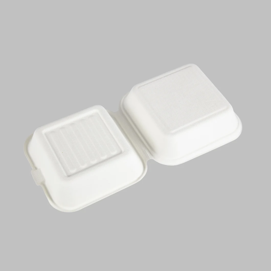 Sugarcane Bagasse Clamshell Lunch Box Take Away Disposable Biodegradable Eco Friendly Lunch Boxes for Meal