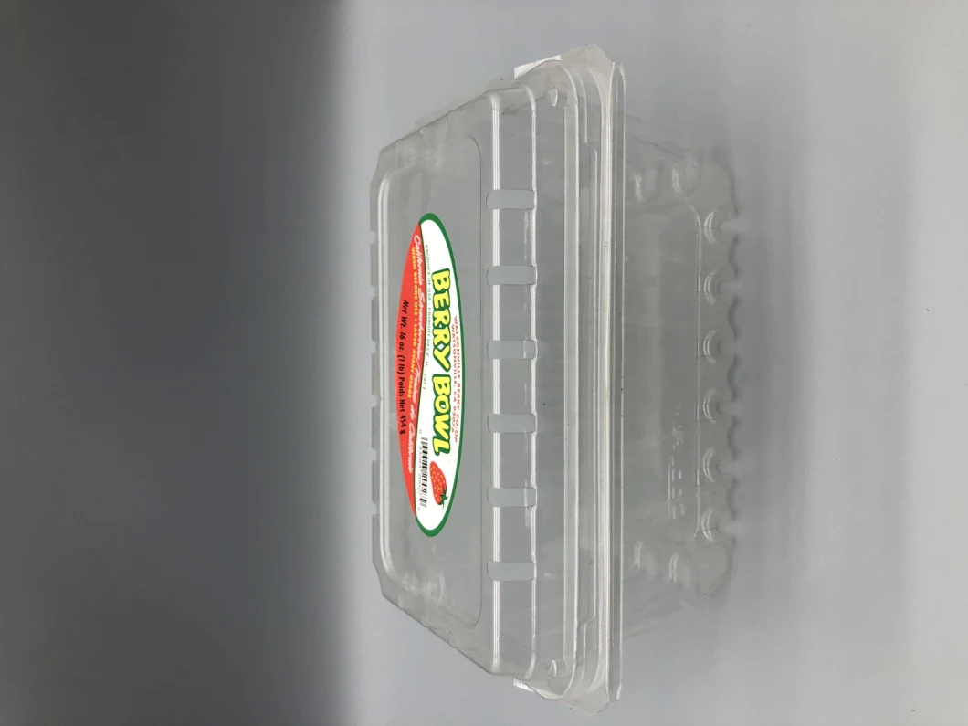 Preserving Box Food Container for Food Storage Lunch Box Take out Box