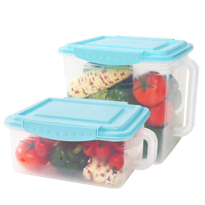 Plastic Thin Wall Food Container Mould Packaging Box Mold