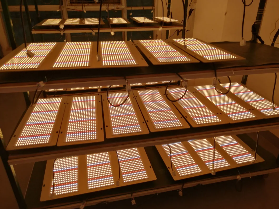 Quantum Boards LED Grow Light Full Spectrum Plants Lights 3000K White and 660nm
