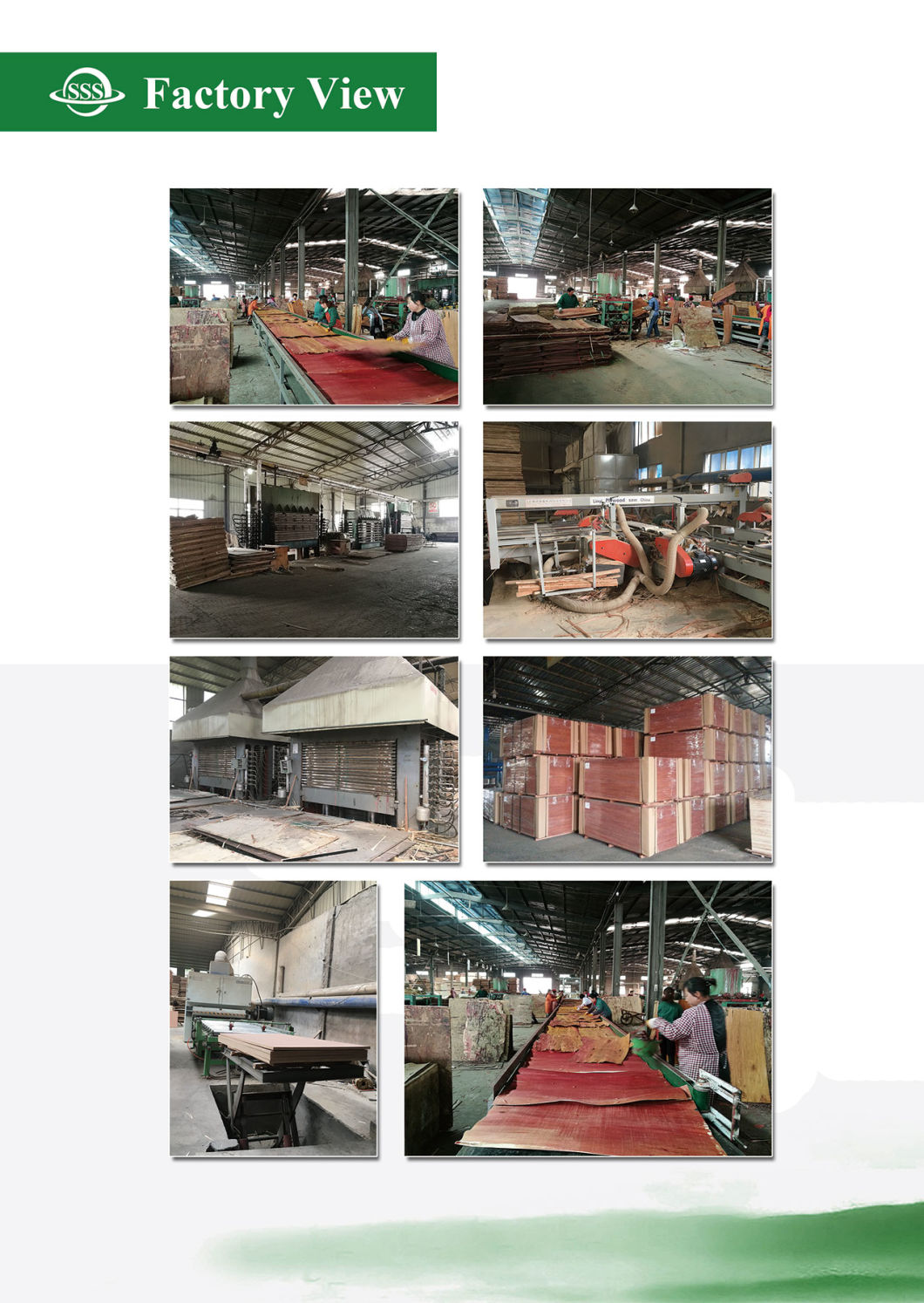 Cimc WBP Marine 28mm Container Flooring Plywood for Container Repairing Container Parts
