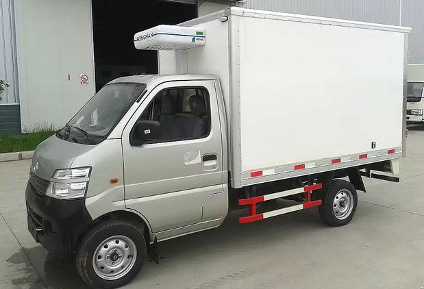 1mt Mini Refrigerator Truck Refrigerated Freezer Truck Box Truck for Fresh Meat/Fish Vegetables