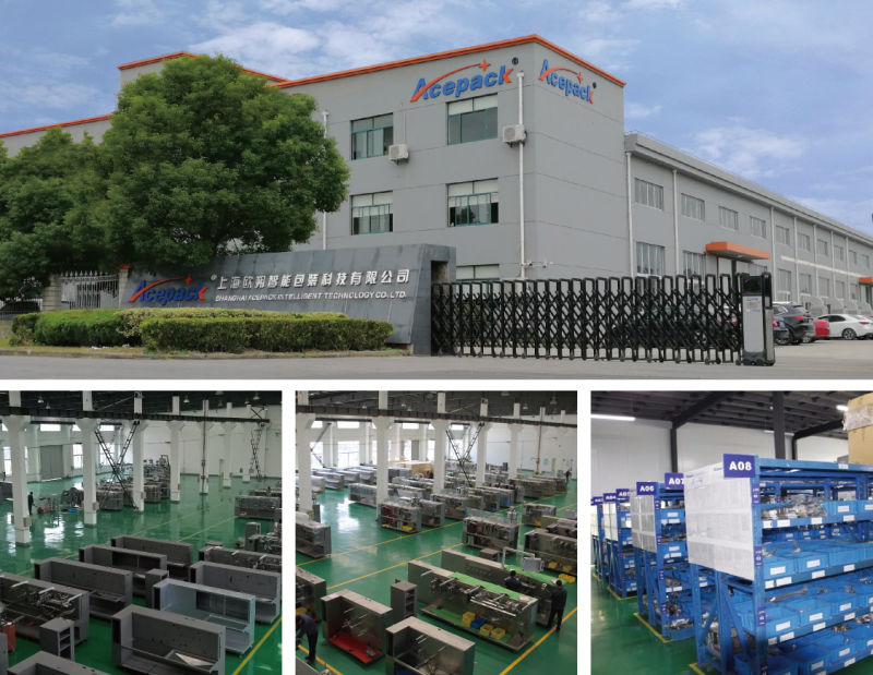 Film Roll Dried Fig Packing Machine for Pouch with Zipper