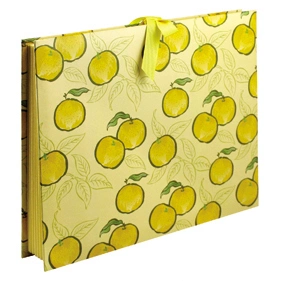 Office Expanding Paper File Folder for Promotion