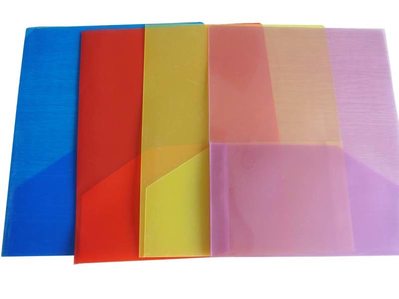 Customized File Folder in Two Pockets (F039)