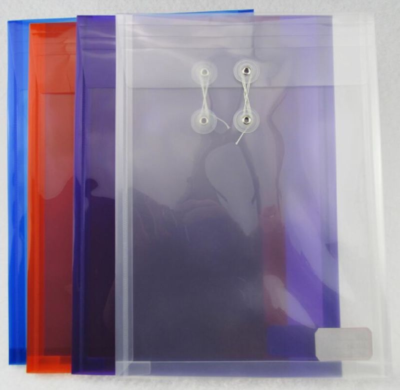 Transparent File Bag with Elastic Strap (F-A030)