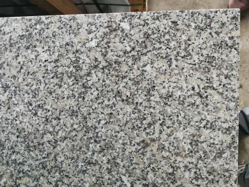 Quarry Owner Competitive Price Nice Grey Color Polished Granite