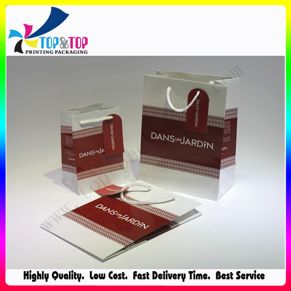 Cmyk Printing Luxury Cosmetic Gift Paper Bag