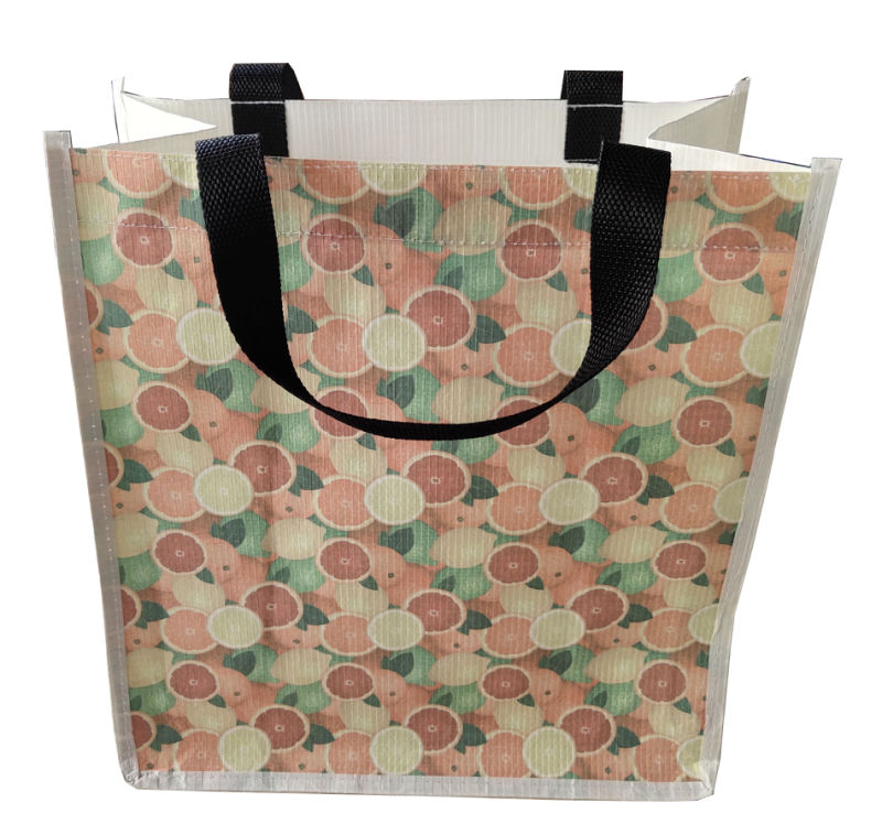 Classic Designed Recycled Paper Gift Bag, Paper Shopping Bag, Paper Hand Bag, Paper Gift Bag
