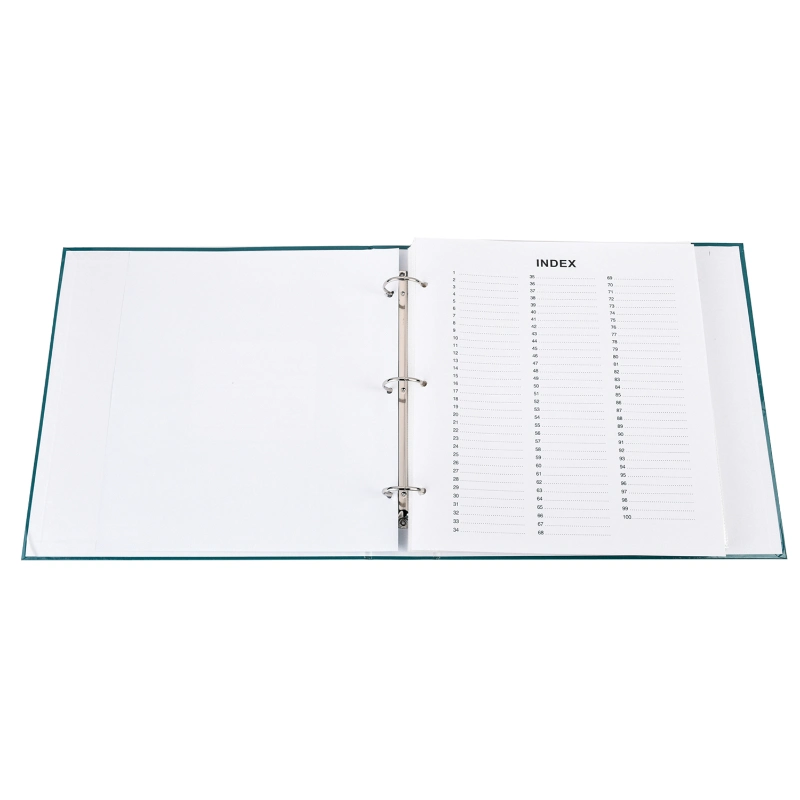 500 Hold Ring Binder Photo Album 100pages