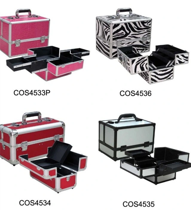 Professional Makeup Train Case Beauty Organizer Hard Box