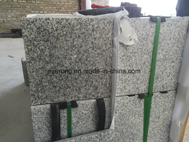 Wholesale Chinese Light Grey Granite Tile From Quarry Owner