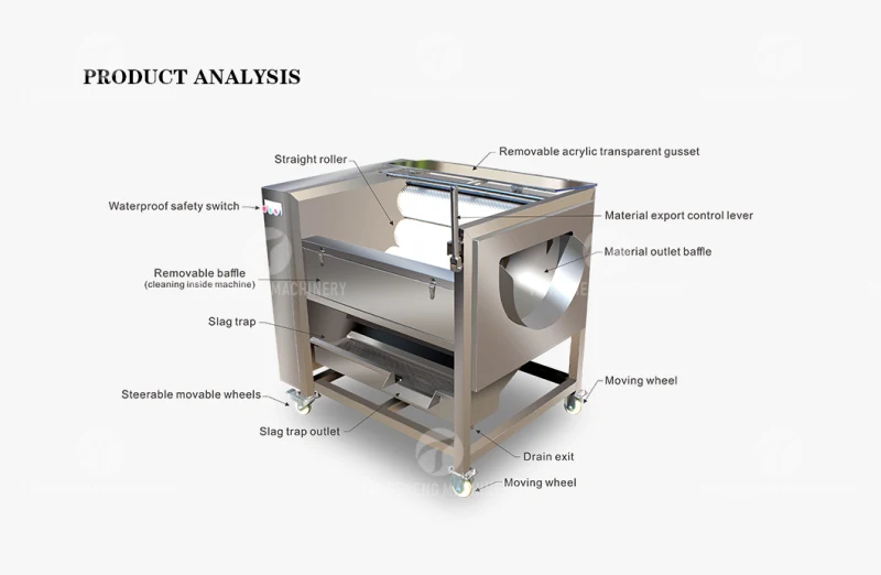 Potato Brush Washing Peeling Cleaning Machine Food Processing Machine (TS-M300)
