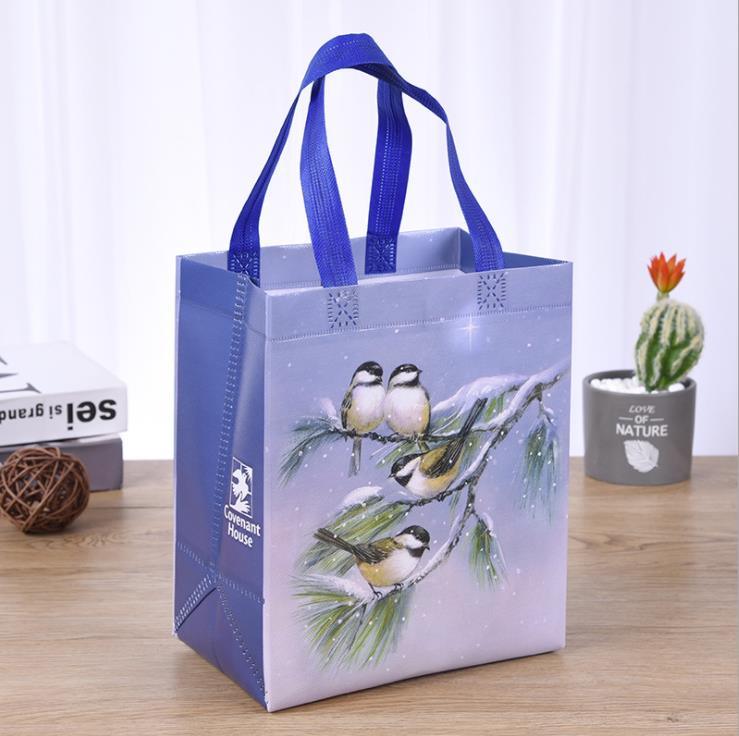 Promotional Non Woven Cloth Foldable Shopping Bag with Logo