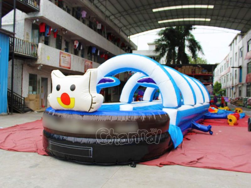 Commercial Good Quality Double Lane Inflatable Slip N Slide Chsl673