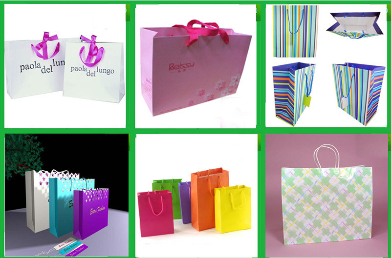 Bespoke Luxury Paper Shopping Bag for Gift / Cosmetic / Perfume Packaging