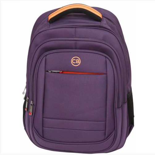 Laptop Backpack School Bag Business Case Rucksack Travel College