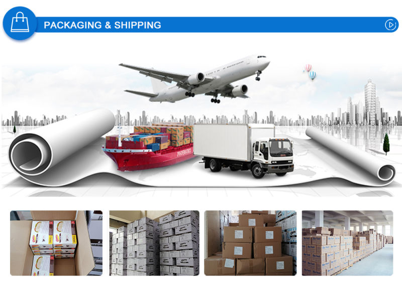 Biodegradable Cosmetic Packaging Shooping Paper Bags