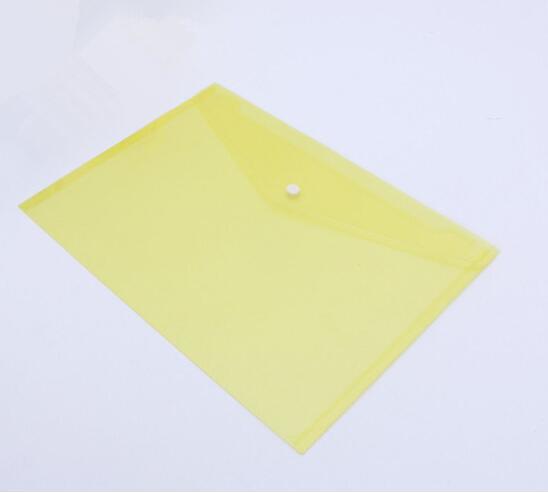 Customized Logo Printed A5 Clear Bag File Folder