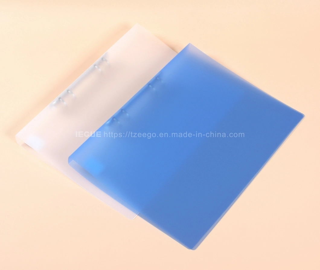 Transparent Plastic PP Cover 4 Hole Ring Binder File Folder