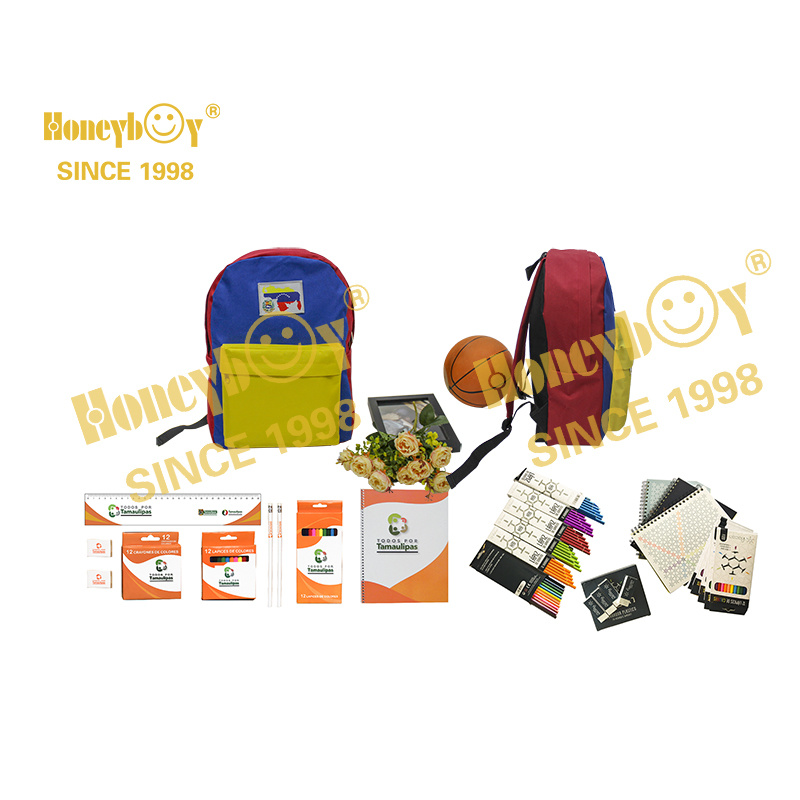 School Bag and Stationery Kits Back to School Bag Sets with Stationery Tender Order for Bags Notebboks